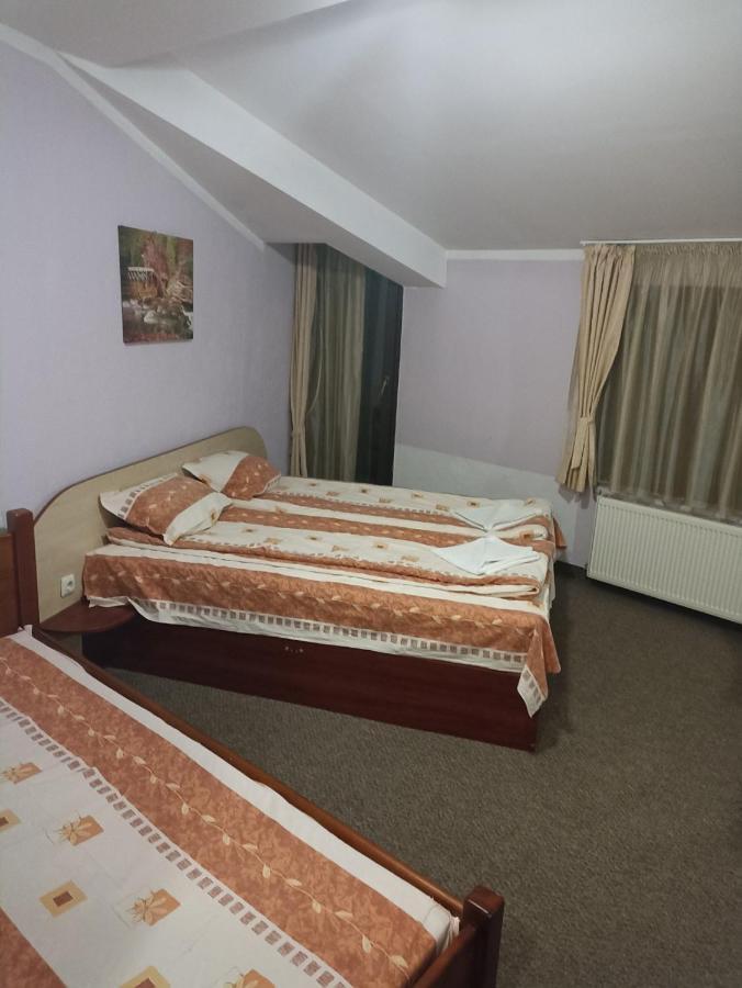 Petar Guest House Bansko Dış mekan fotoğraf
